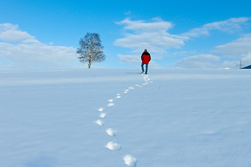 Image showing beautiful sunny landscape in winter with blue sky