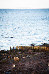 Image showing baltic sea background evening wooden wave breaker beach