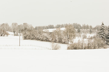 Image showing forest and field  winter landscape