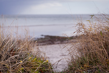 Image showing beautiful landscape dunes baltic sea in autumn winter