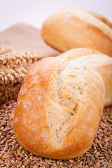 Image showing tasty fresh baked bread bun baguette natural food 