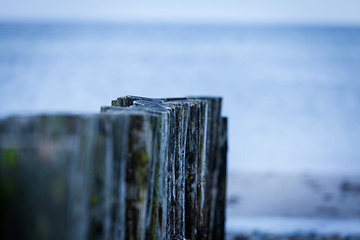 Image showing baltic sea background evening wooden wave breaker beach