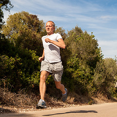 Image showing athletic man runner jogging in nature outdoor