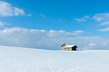 Image showing beautiful sunny landscape in winter with blue sky
