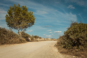 Image showing empty road in sunlight blue sky destination