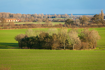 Image showing beautiful landscape of green farmland and blue sky