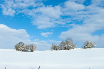 Image showing beautiful sunny landscape in winter with blue sky