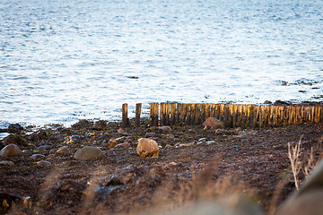 Image showing baltic sea background evening wooden wave breaker beach