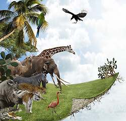 Image showing Nature Concept