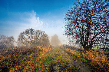 Image showing Country road through rich deciduous forest