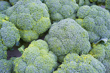 Image showing Broccoli