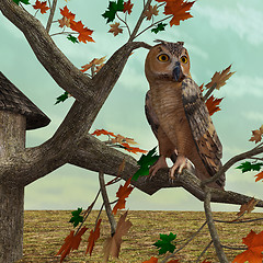 Image showing Autumn Owl