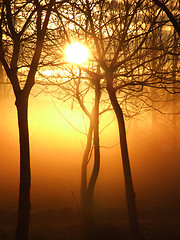 Image showing Mystical sunrise