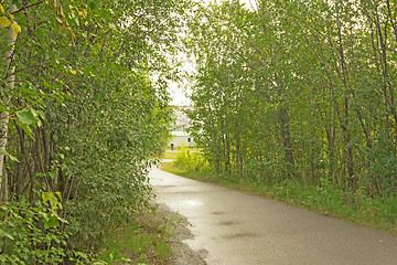 Image showing Treadmill in a wooded area near the lake