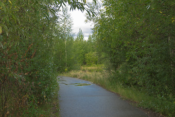 Image showing Treadmill in a wooded area near the lake