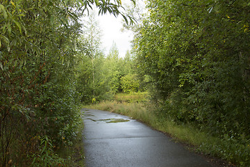 Image showing Treadmill in a wooded area near the lake