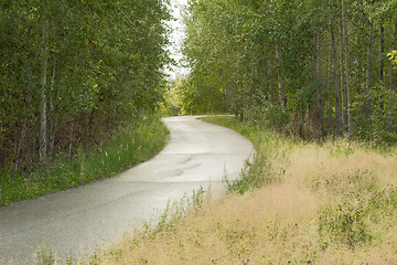 Image showing Treadmill in a wooded area near the lake