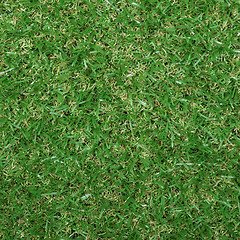 Image showing Synthetic grass