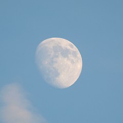 Image showing The moon