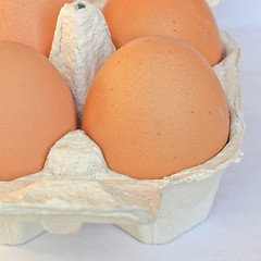 Image showing Eggs