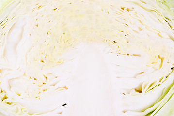 Image showing cabbage  closeup as background