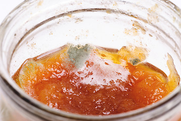 Image showing Macro shot of green-grey mold growing in jam-jar