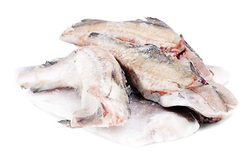 Image showing  frozen fish pollock and hake isolation  on  white