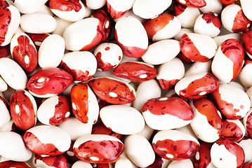 Image showing haricot beans macro background