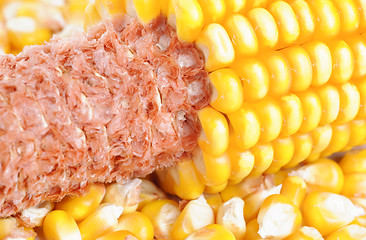 Image showing dried ear of corn  