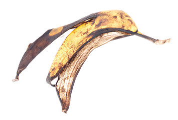Image showing old banana peel , isolated on white background