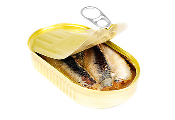 Image showing open can of sardines in oil isolated on white 