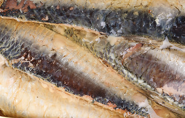 Image showing  sardines in  oil as  background