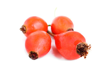 Image showing some berries dogrose, on white background