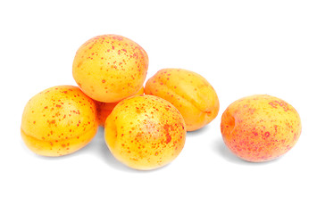 Image showing Apricot fruit isolated on white 