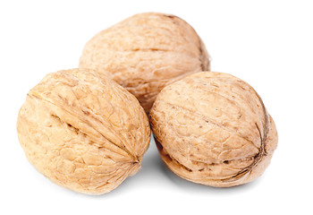 Image showing walnuts isolated on a white background 
