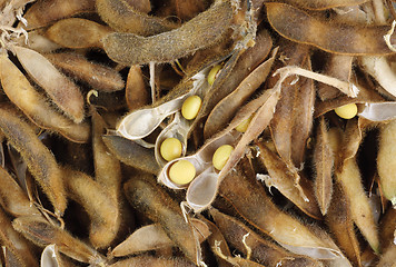 Image showing Soy Beans  as background