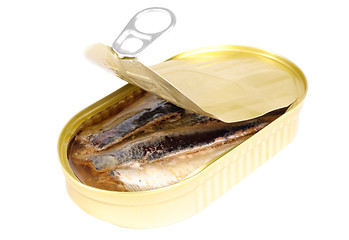 Image showing can of sardines in oil isolated on white 