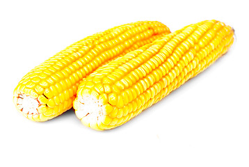 Image showing Corn  isolation  on  white  