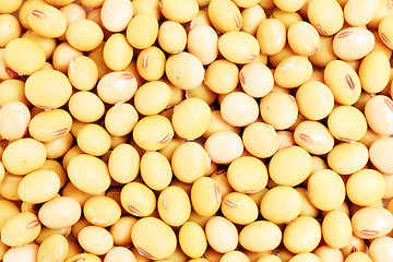 Image showing Macro shot of soybeans fills as background