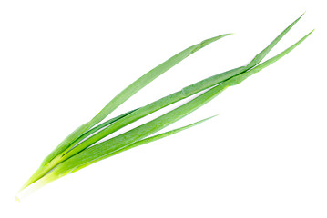 Image showing fresh green onions  isolated  on  white