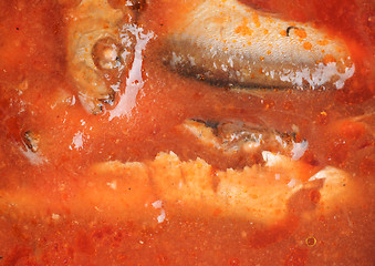 Image showing  fish in tomato sauce as food background 