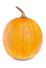 Image showing Orange Pumpkin isolated on white background 