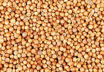 Image showing Aromatic coriander seeds as  food background 
