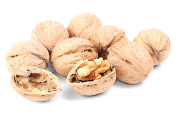 Image showing Some walnuts isolated on a white background 