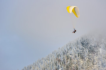 Image showing paragliding in winter