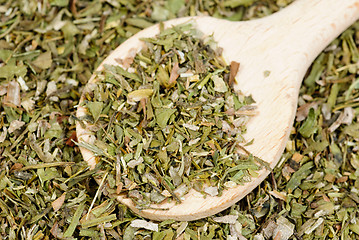 Image showing Dried  estragon spice  and wooden spoon  as  food  background