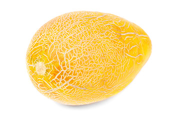Image showing One melon isolated on white background 