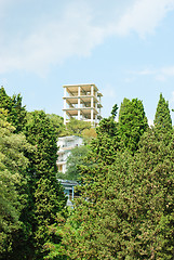 Image showing New apartments building over  blue sky  and  green  tree.Crimea. Ukraine.