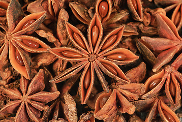 Image showing Fresh anise-star, nature spice  background