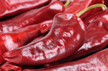 Image showing dried red hot  pepper  background